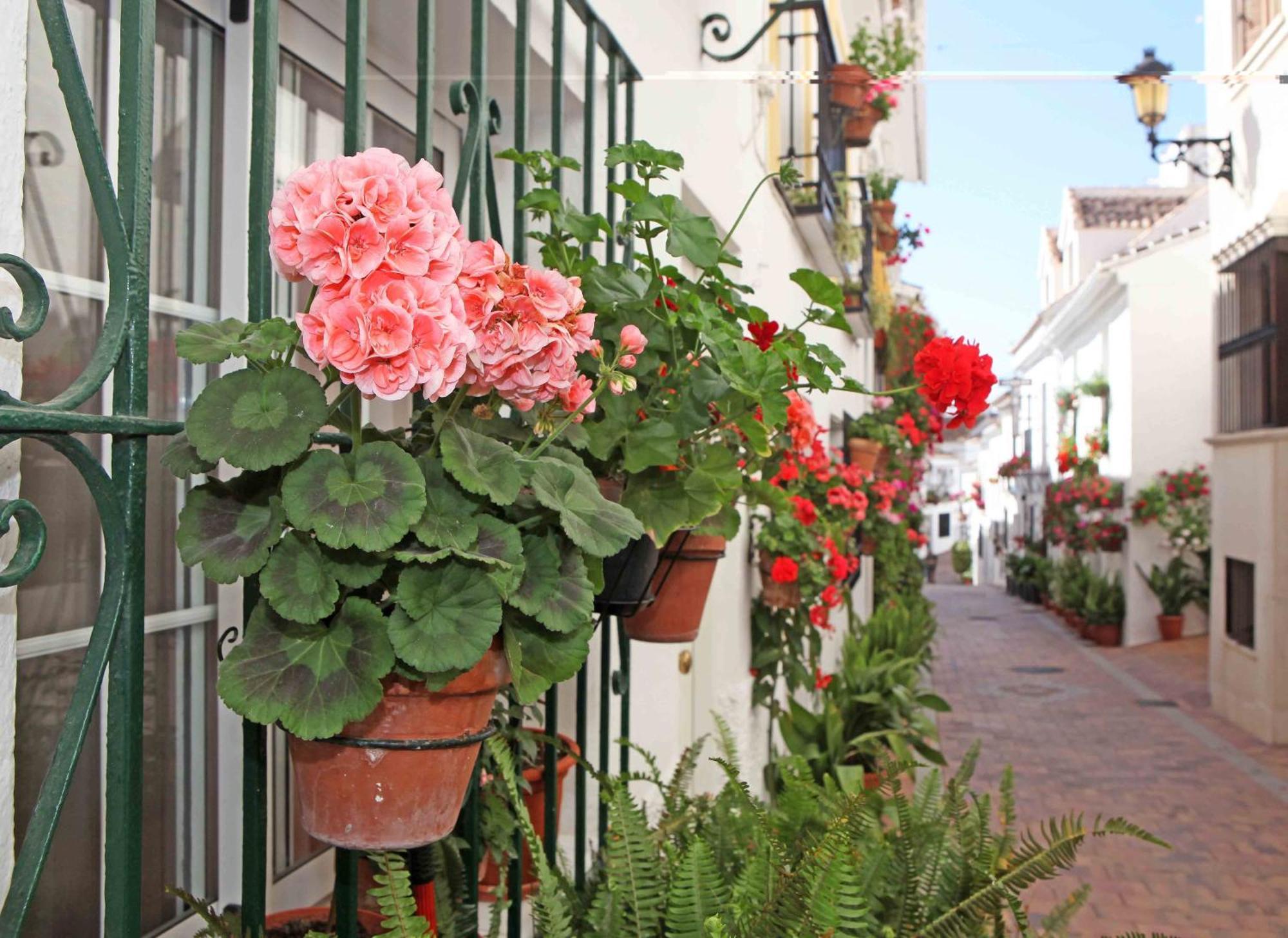 I Am La Posada Hotel And Apartment Benalmádena Exterior photo